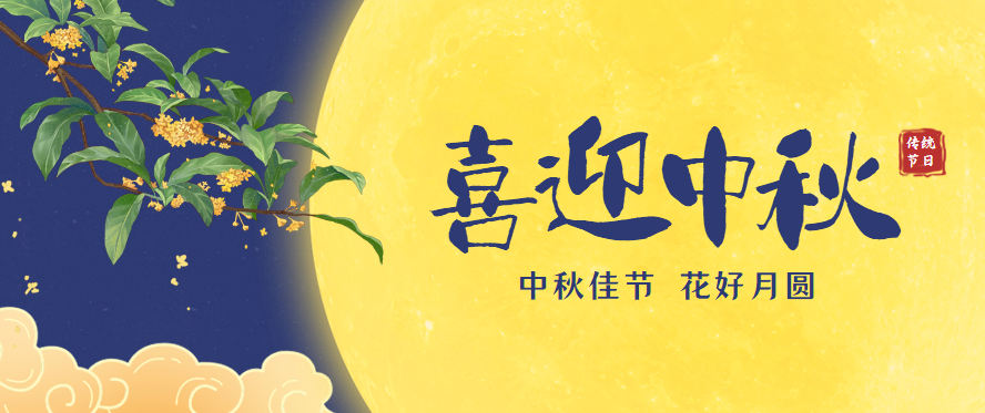 领航国际官方网站图片