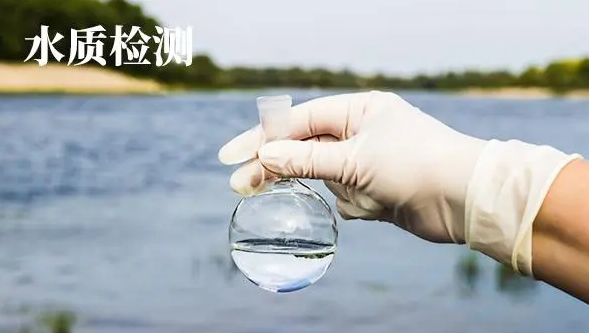 领航国际官方网站图片