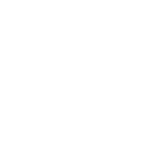 领航国际 0561f